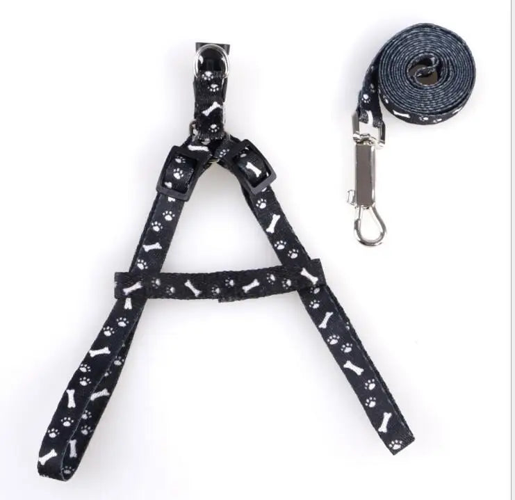 Cat Collar Harness Leash Adjustable Nylon Pet Traction Cat Kitten Dog Halter Collar gato Cats Products Pet Harness Belt