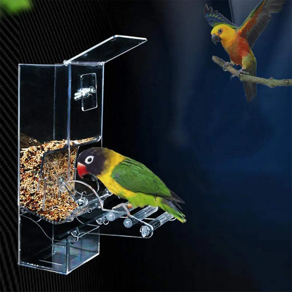 1 Pcs Feeder Bird Automatic Feeders Bird Food Ontainer  Bird Food Feeders For Pigeons Parrot Starling Pet Birds Feeding Devices