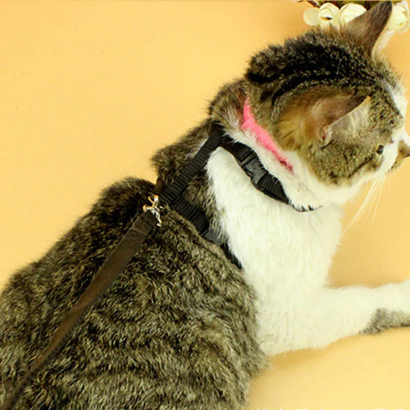 Cat Collar Harness Leash Adjustable Nylon Pet Traction Cat Kitten Dog Halter Collar gato Cats Products Pet Harness Belt