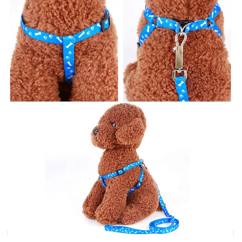 Cat Collar Harness Leash Adjustable Nylon Pet Traction Cat Kitten Dog Halter Collar gato Cats Products Pet Harness Belt