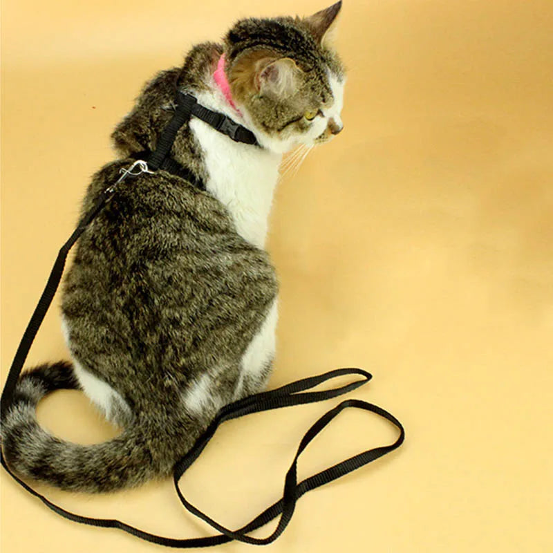 Cat Collar Harness Leash Adjustable Nylon Pet Traction Cat Kitten Dog Halter Collar gato Cats Products Pet Harness Belt