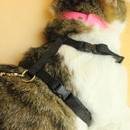 Cat Collar Harness Leash Adjustable Nylon Pet Traction Cat Kitten Dog Halter Collar gato Cats Products Pet Harness Belt