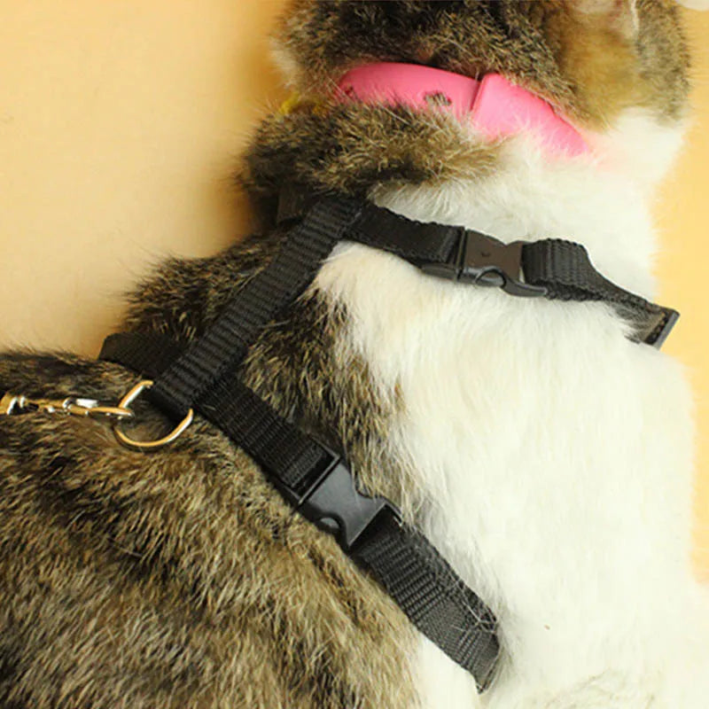 Cat Collar Harness Leash Adjustable Nylon Pet Traction Cat Kitten Dog Halter Collar gato Cats Products Pet Harness Belt