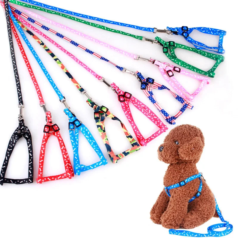 Cat Collar Harness Leash Adjustable Nylon Pet Traction Cat Kitten Dog Halter Collar gato Cats Products Pet Harness Belt