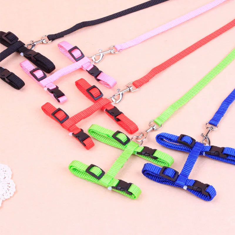 Cat Collar Harness Leash Adjustable Nylon Pet Traction Cat Kitten Dog Halter Collar gato Cats Products Pet Harness Belt